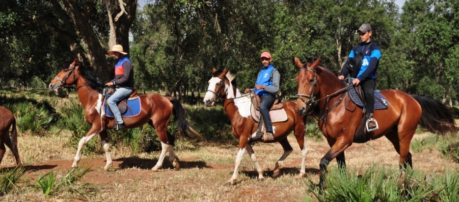 Horse trail near Rabat